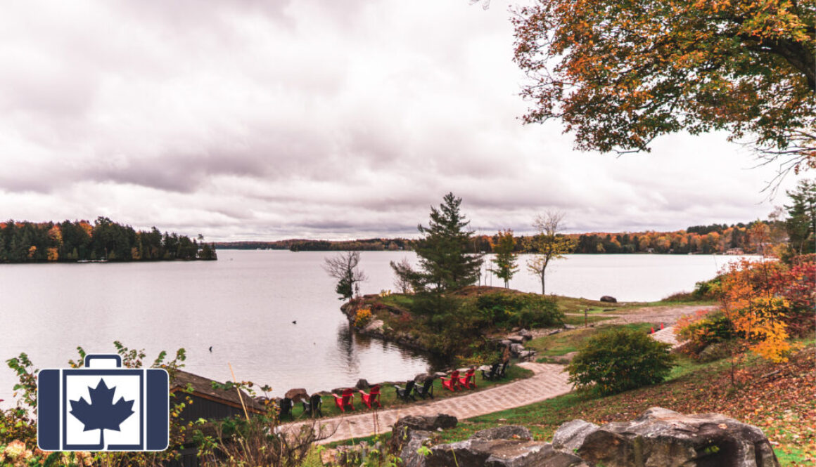 VisitorsInsurance.ca A scenic autumn view of a calm lake in Muskoka, featuring a row of red and black Muskoka chairs facing the water along a paved path.